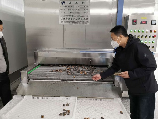 速凍機