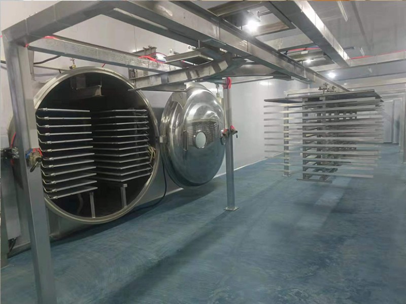 水果凍干機