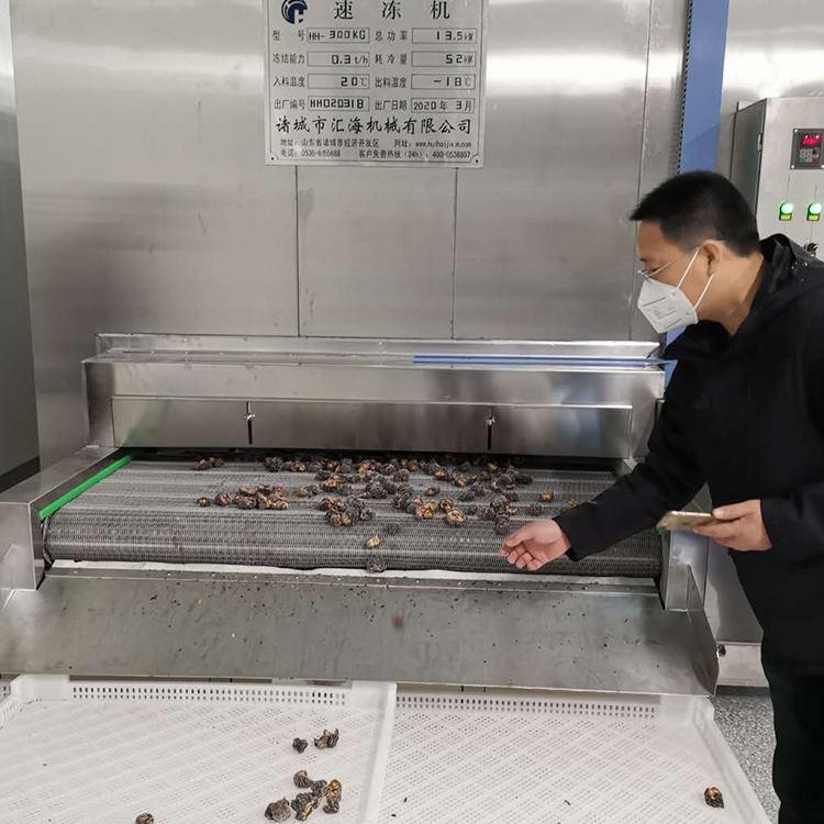 單凍機.jpg